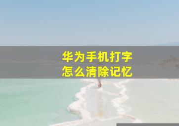 华为手机打字怎么清除记忆