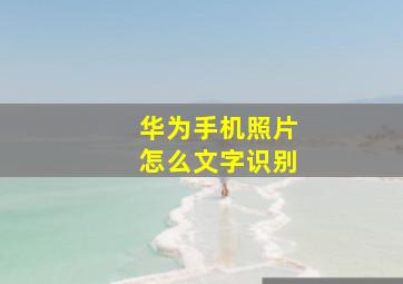 华为手机照片怎么文字识别