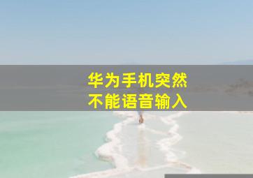 华为手机突然不能语音输入