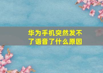 华为手机突然发不了语音了什么原因