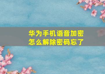 华为手机语音加密怎么解除密码忘了