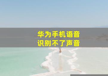 华为手机语音识别不了声音