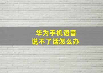 华为手机语音说不了话怎么办