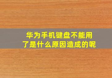 华为手机键盘不能用了是什么原因造成的呢