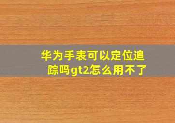 华为手表可以定位追踪吗gt2怎么用不了