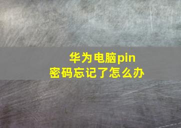 华为电脑pin密码忘记了怎么办