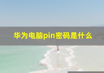 华为电脑pin密码是什么