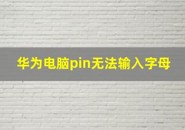 华为电脑pin无法输入字母