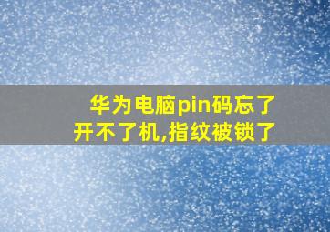 华为电脑pin码忘了开不了机,指纹被锁了