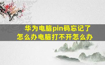 华为电脑pin码忘记了怎么办电脑打不开怎么办