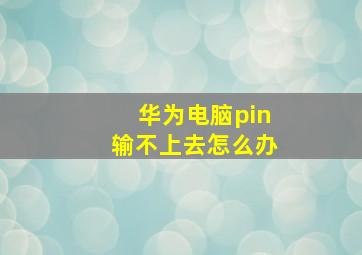 华为电脑pin输不上去怎么办