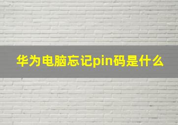 华为电脑忘记pin码是什么