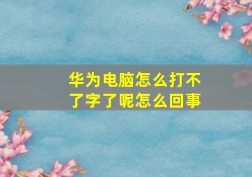 华为电脑怎么打不了字了呢怎么回事