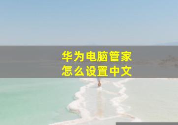 华为电脑管家怎么设置中文