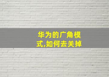 华为的广角模式,如何去关掉