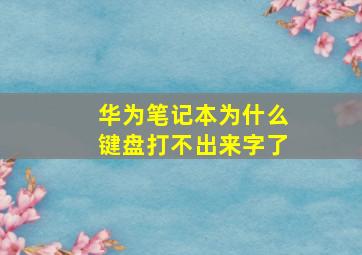 华为笔记本为什么键盘打不出来字了