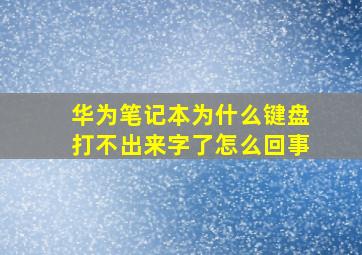 华为笔记本为什么键盘打不出来字了怎么回事