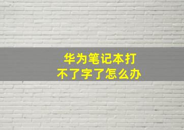 华为笔记本打不了字了怎么办