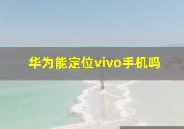 华为能定位vivo手机吗