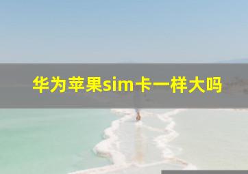 华为苹果sim卡一样大吗