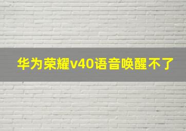 华为荣耀v40语音唤醒不了