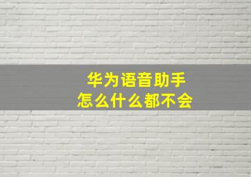 华为语音助手怎么什么都不会