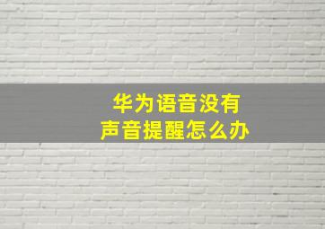 华为语音没有声音提醒怎么办