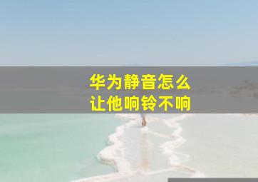 华为静音怎么让他响铃不响