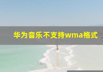 华为音乐不支持wma格式