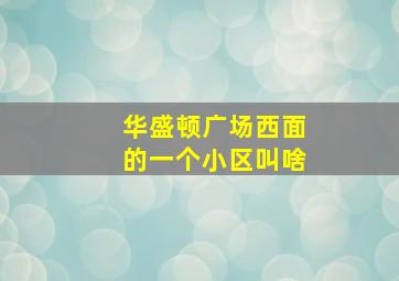 华盛顿广场西面的一个小区叫啥