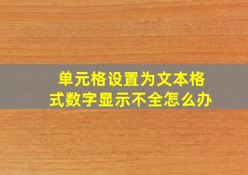 单元格设置为文本格式数字显示不全怎么办