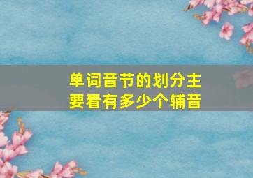 单词音节的划分主要看有多少个辅音