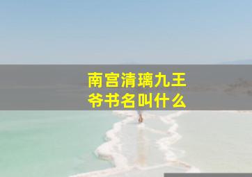 南宫清璃九王爷书名叫什么