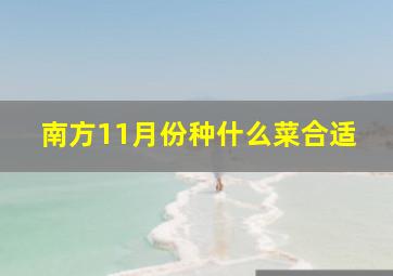 南方11月份种什么菜合适