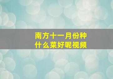 南方十一月份种什么菜好呢视频