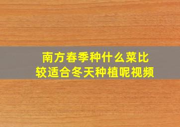 南方春季种什么菜比较适合冬天种植呢视频