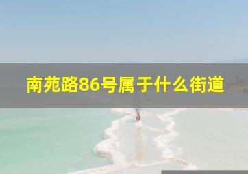 南苑路86号属于什么街道