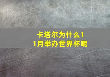 卡塔尔为什么11月举办世界杯呢