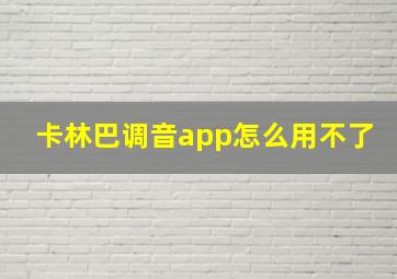 卡林巴调音app怎么用不了