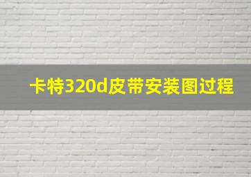 卡特320d皮带安装图过程