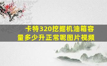 卡特320挖掘机油箱容量多少升正常呢图片视频