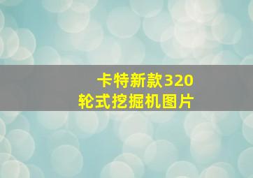 卡特新款320轮式挖掘机图片