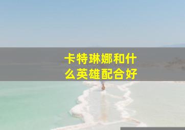 卡特琳娜和什么英雄配合好