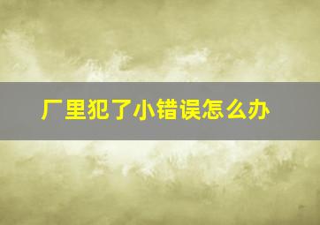 厂里犯了小错误怎么办