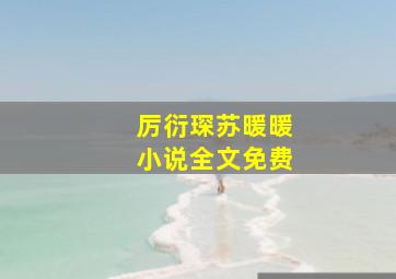 厉衍琛苏暖暖小说全文免费