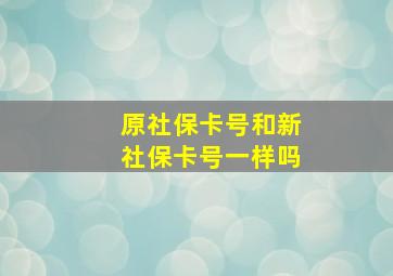 原社保卡号和新社保卡号一样吗