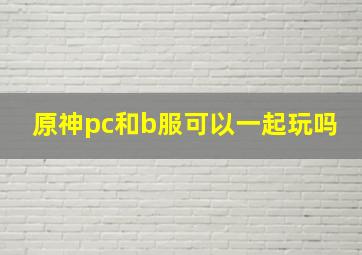 原神pc和b服可以一起玩吗