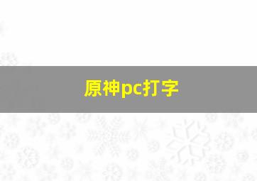 原神pc打字