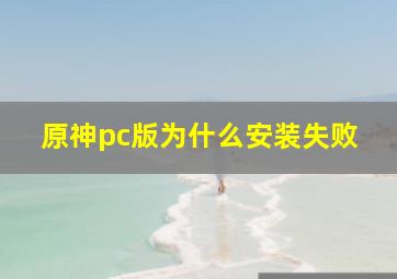 原神pc版为什么安装失败