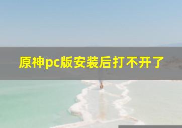 原神pc版安装后打不开了